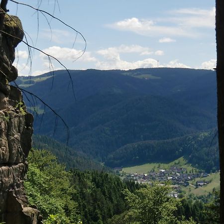 Ferienwohnung Uli Schaetzle Hornberg Exteriör bild