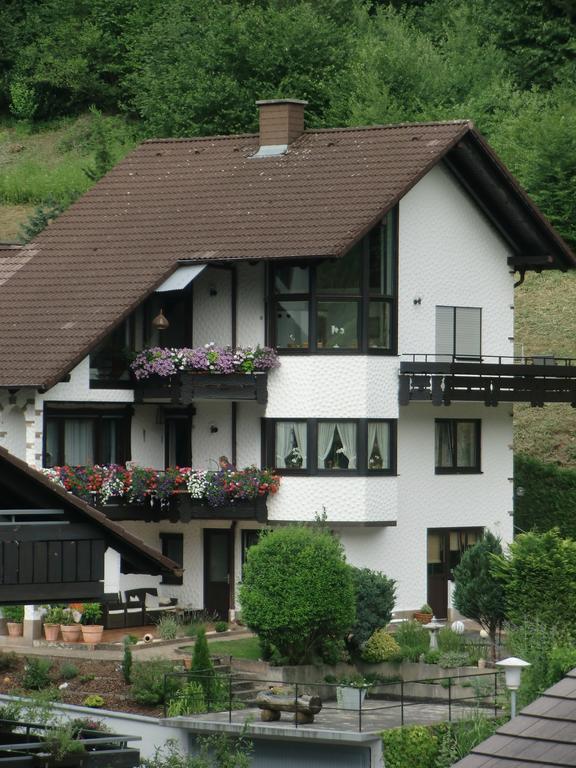 Ferienwohnung Uli Schaetzle Hornberg Exteriör bild