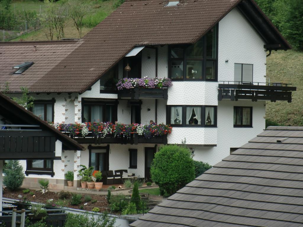 Ferienwohnung Uli Schaetzle Hornberg Exteriör bild